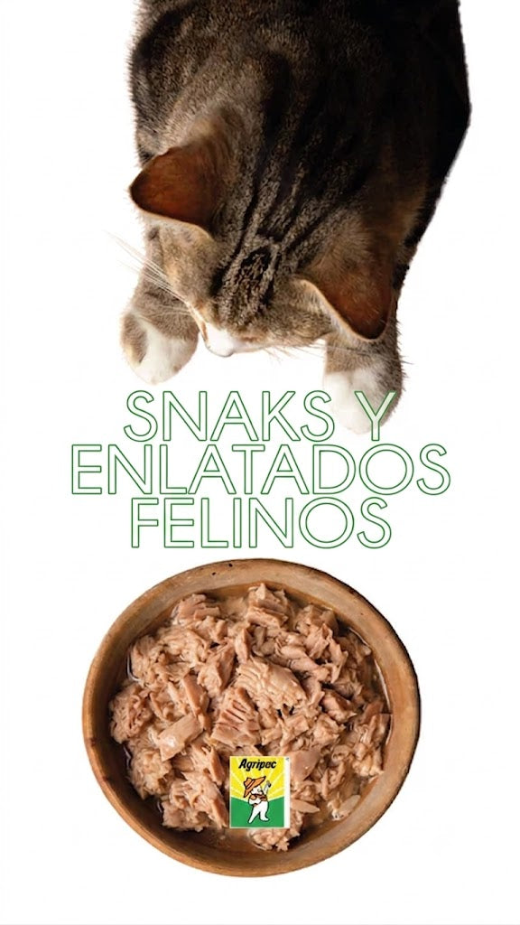 Snacks, Enlatados y Comida Húmeda Felinos