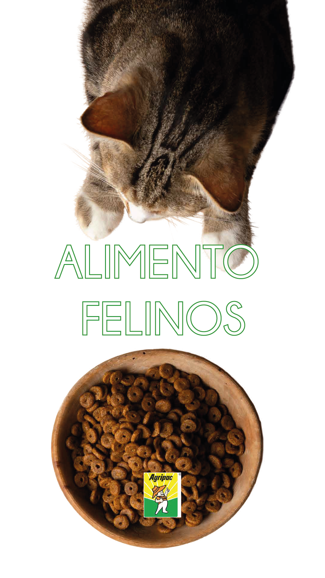 Comida Felina