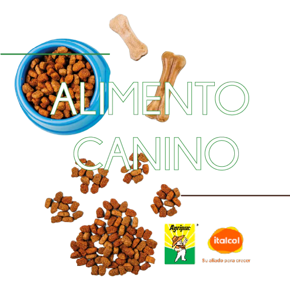 Comida Canina