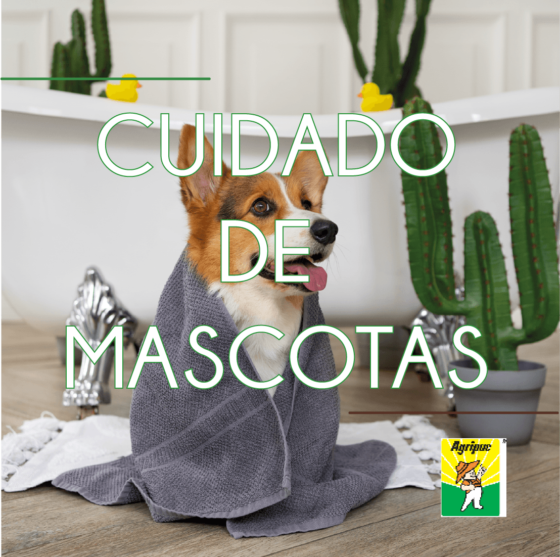 Arenas y Cuidados de Mascotas