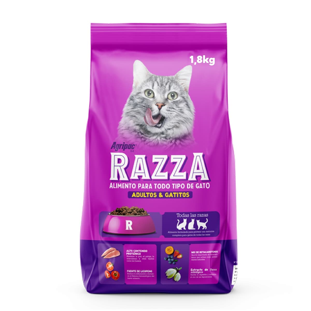 Razza gatos y gatitos